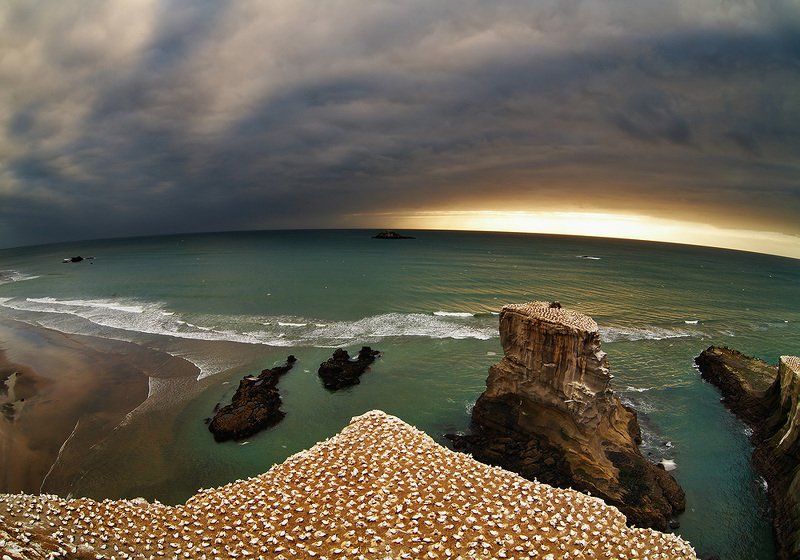 Новая Зеландия 8photo preview