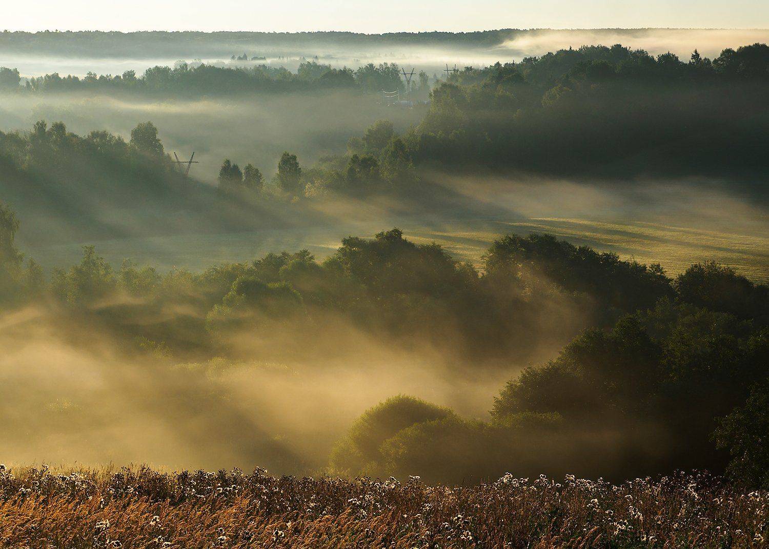 , Марина Брыдня