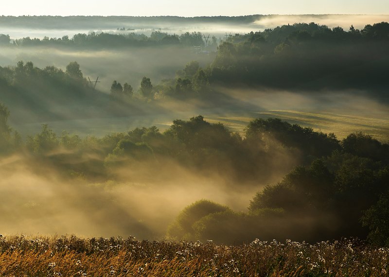 Утроphoto preview