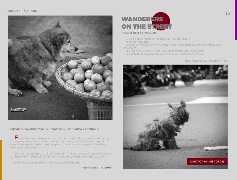 Wandererzphoto preview