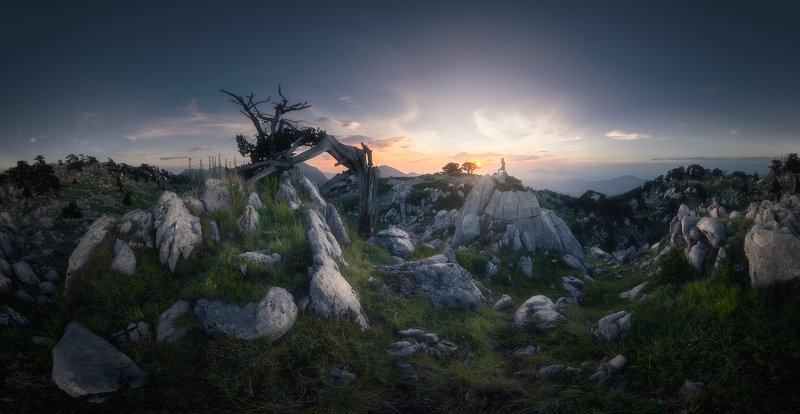 Nature firstphoto preview