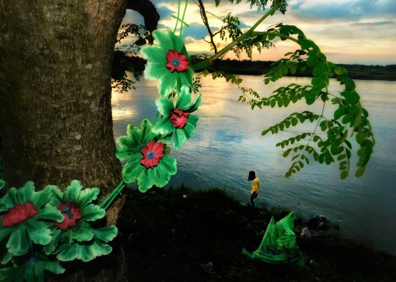 Flowersphoto preview