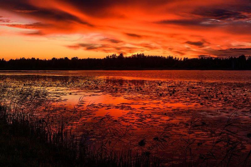закат, озеро, псков Невероятный вечер на лесном озереphoto preview