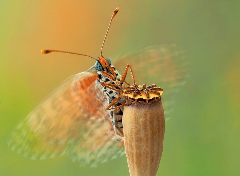 Игра на барабанеphoto preview