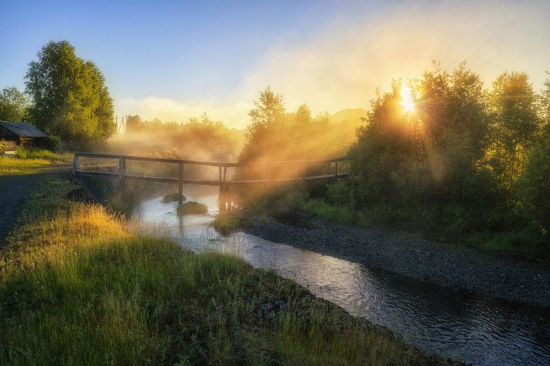 природа, утро, свет, nikon Мостик к светуphoto preview