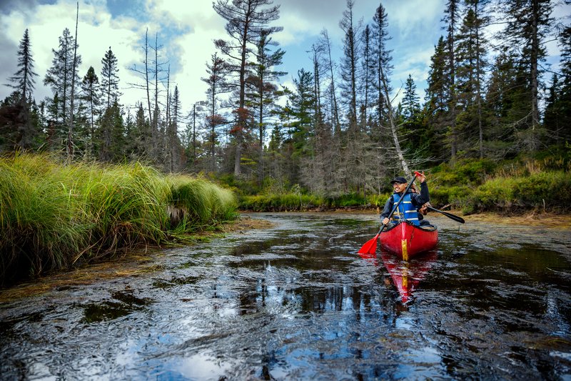 canada ,ontario ,canoe ,algonquinpark ,algonquin ,kawawaymoglake ,travel ,nature ,waterways ,silentmotion ,canoecamping ,forest ,parkscanada ,friends ,jurney ,pedaling ,paddle ,vegetation ,green ,wild ,wildnature ,northernjungle ,narrowpassage ,narrowchan Silent motionphoto preview