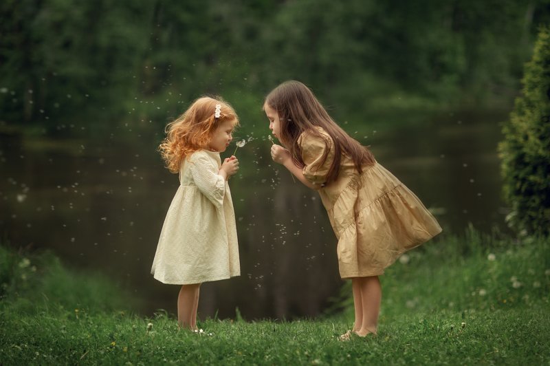 лето сестрички одуванчики  Одуванчикиphoto preview