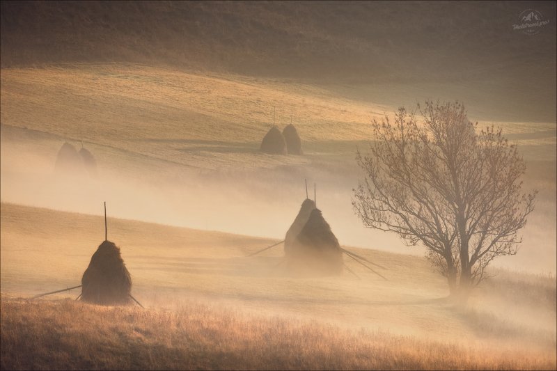 Карпаты, Закарпатье, осень,  Карпаты...Осень...Утро...photo preview