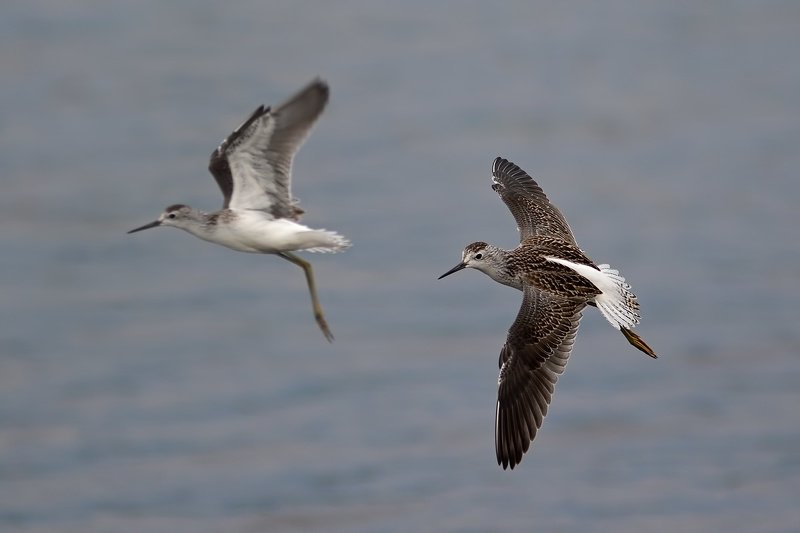 двое против ветраphoto preview