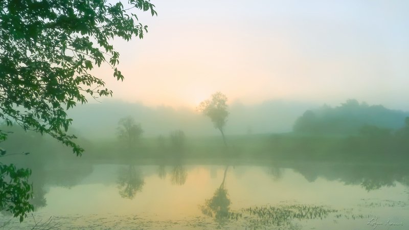 пейзаж, туман, утро, над водой, river, fog, morning, dawn теплое утро фото превью