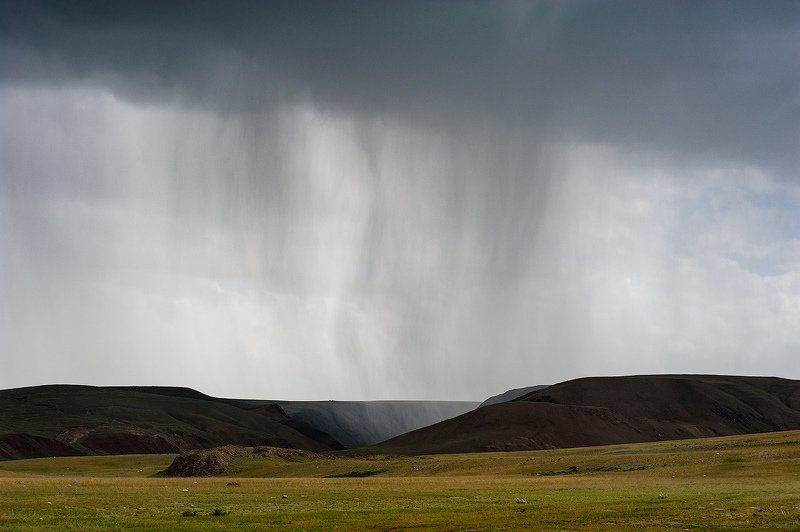 R A I N .photo preview