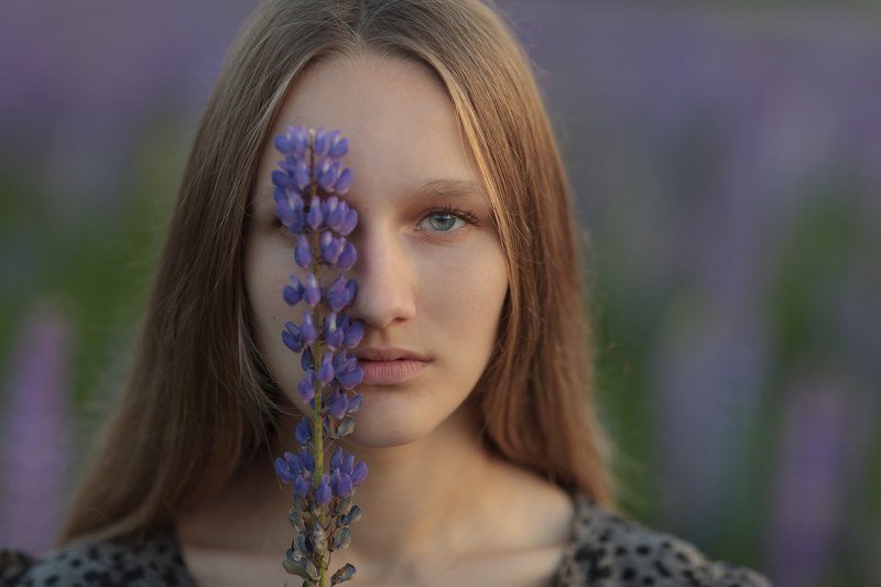 Голубые люпиныphoto preview