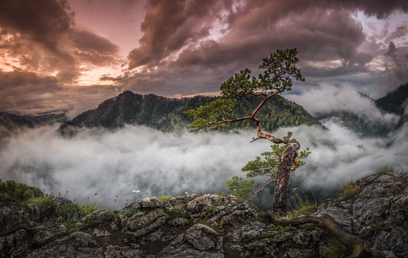 Home Alonephoto preview