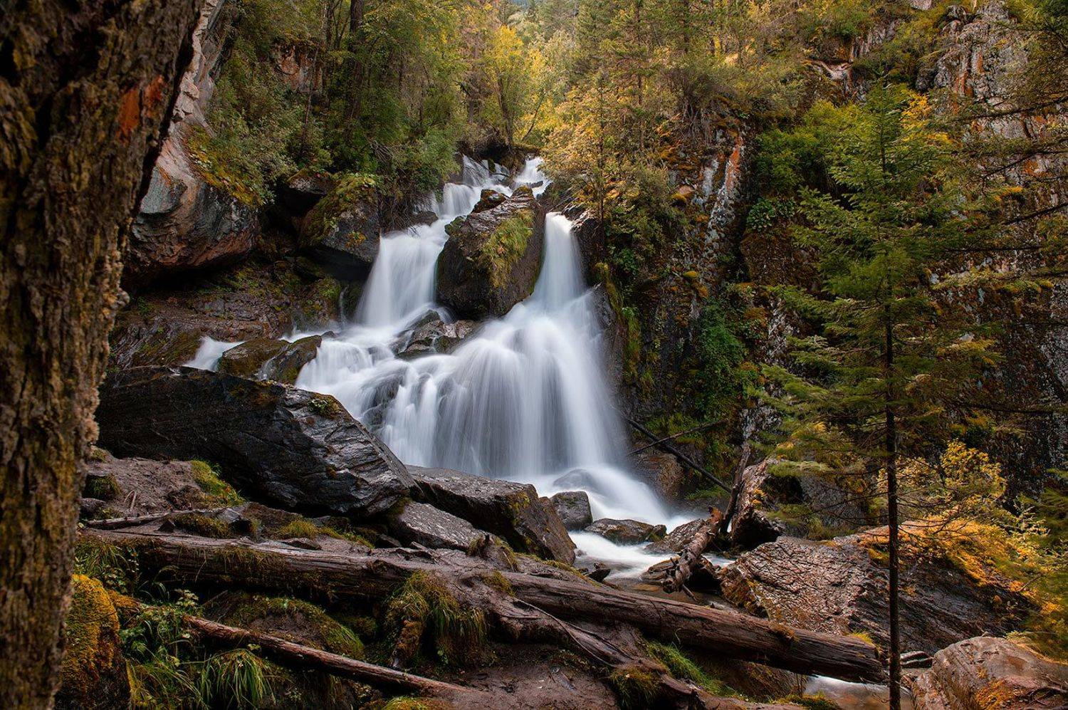 , Олег Логунов