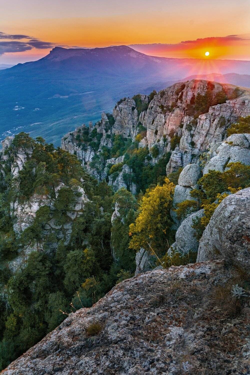 , Андрей Кривцов