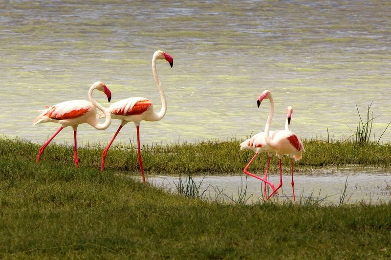 Разрешите познакомитьсяphoto preview