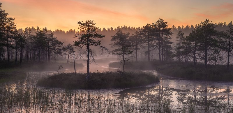ленинградская область, ленобласть Очарование туманного утраphoto preview