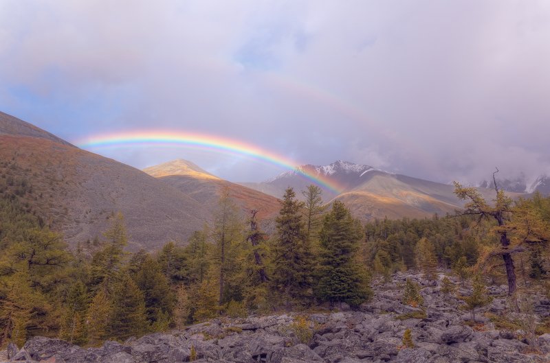 Врата в Беловодьеphoto preview