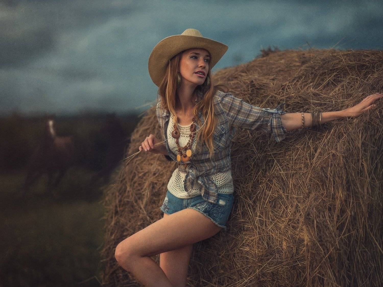 Август. Поле.. Автор: Владимир Воронов лошади, стог, солома, ковбой, шляпа, Владимир Воронов