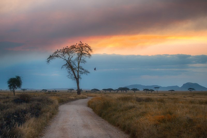 Пристанище на ночьphoto preview