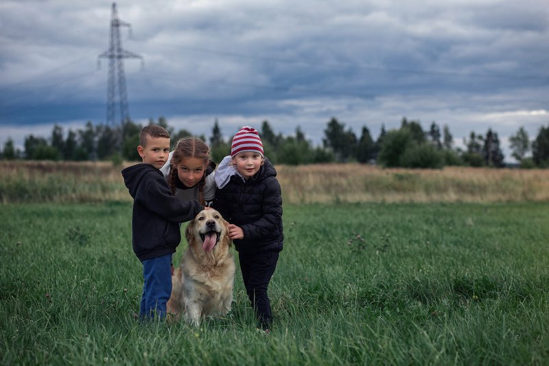 Семья, ретривер, дружба a man finds a friendphoto preview