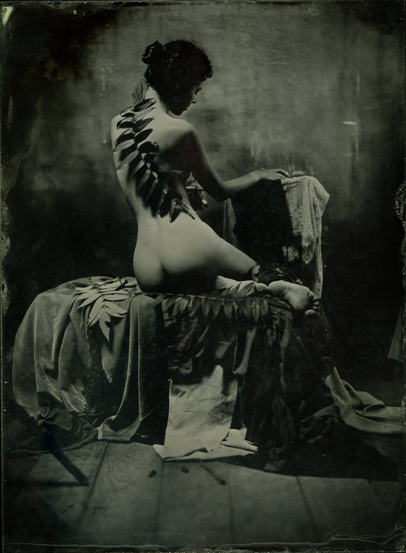 wetplate, collodion no namephoto preview