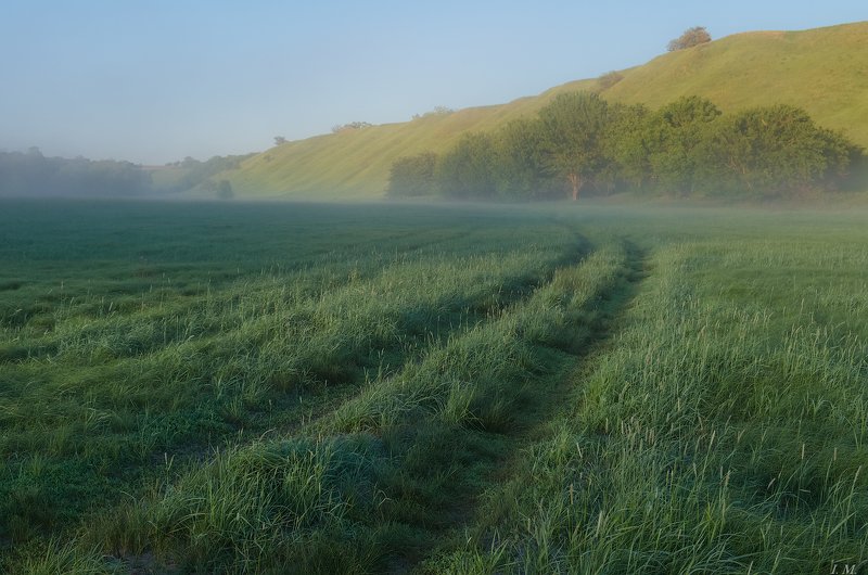 утро, туман, долина, зелень, луг, трава, холмы, пейзаж, лето, тропинка, summer, foggy, morning, mist, meadows, grass, green, hills, valley, landscape, fog, light Зеленая долина фото превью