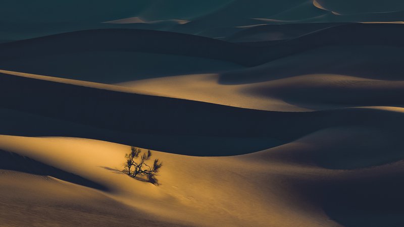 Desert IIphoto preview