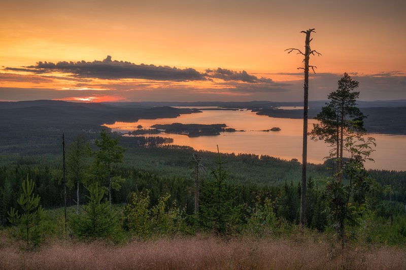 Clouds, Dalecarlia, deadtrees, Evening, eveningmood, fallentrees, Forest, goldenleaves, Grass, Grejsan, Grejsanberget, grejsansfäbod, lake, lakeamungen, Leachen, midnightsun, moss, mountaingrejsan, mountainpasture, nature, outdoors, Sun, Sunset, Sunstar,  Viewpoint Mt. Grejsanphoto preview