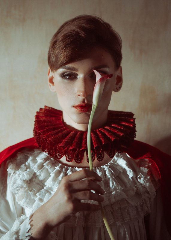 #арт#art #концептуальное#принц#концепт#история#винтаж#векторианскийпортрет принцphoto preview