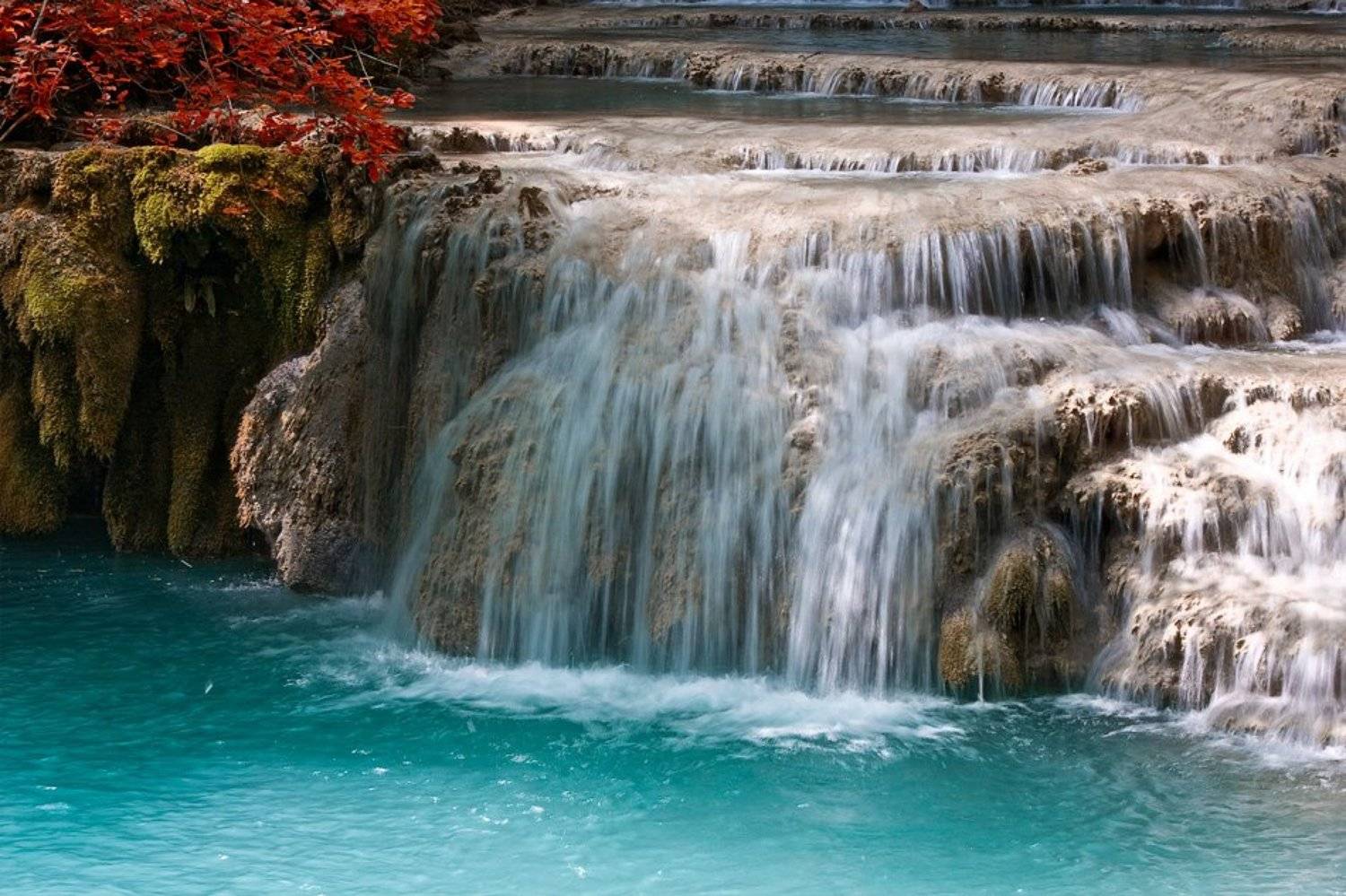 Крушуна. Автор: Светозар Кръстев , Светозар Кръстев