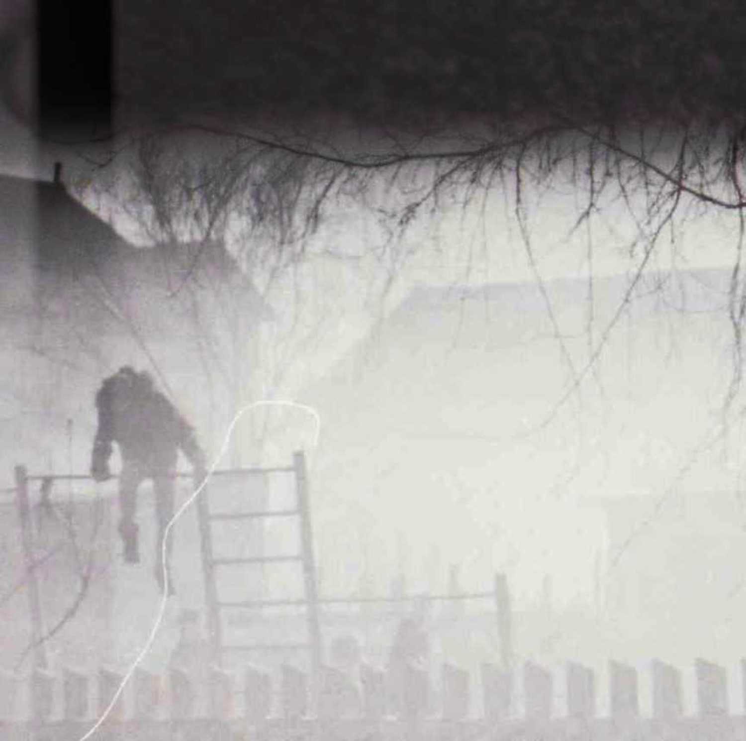 Автор: Deep in Violet , Deep in Violet