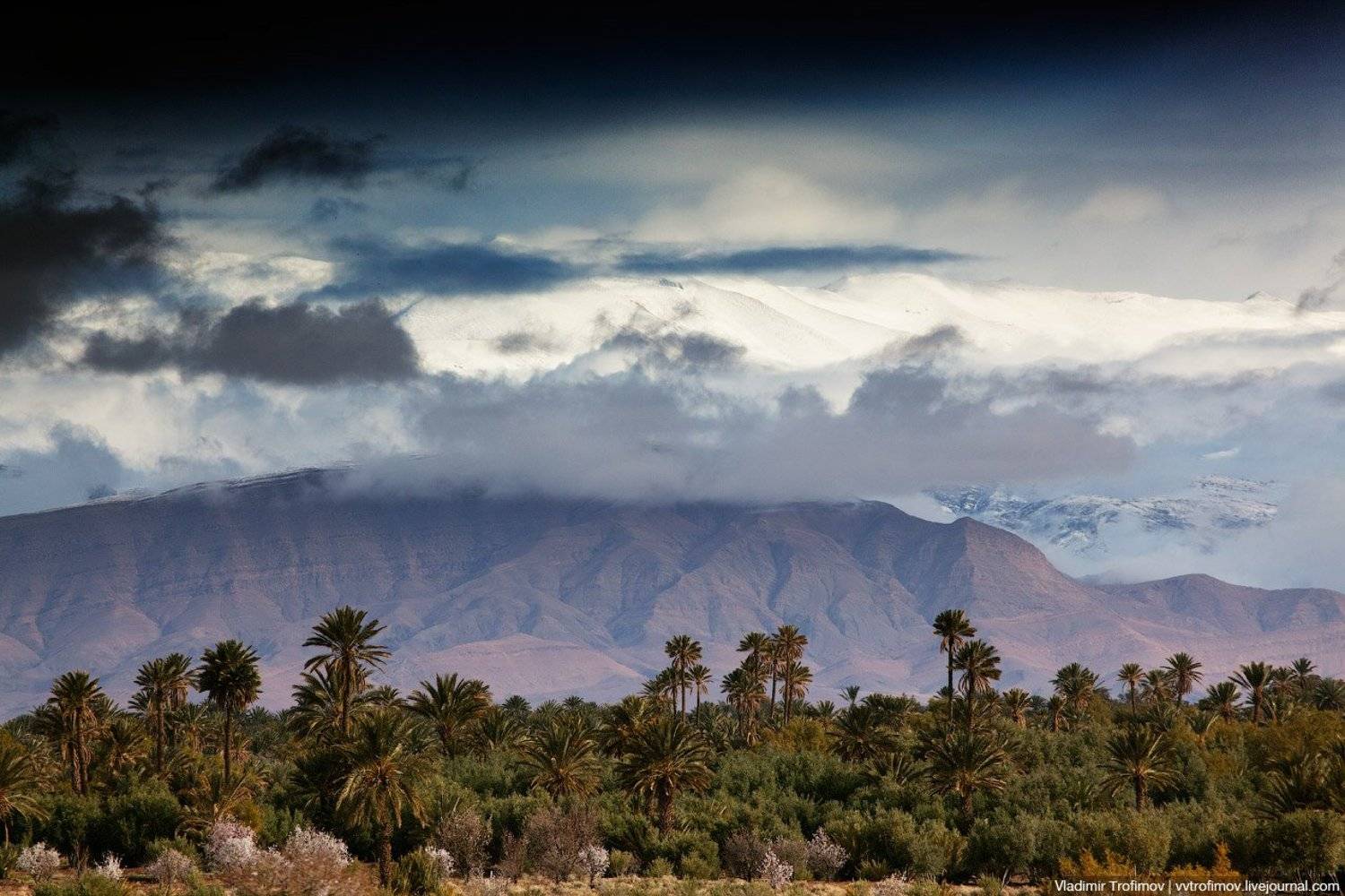 High Atlas. Автор: Vladimir Trofimov , Vladimir Trofimov