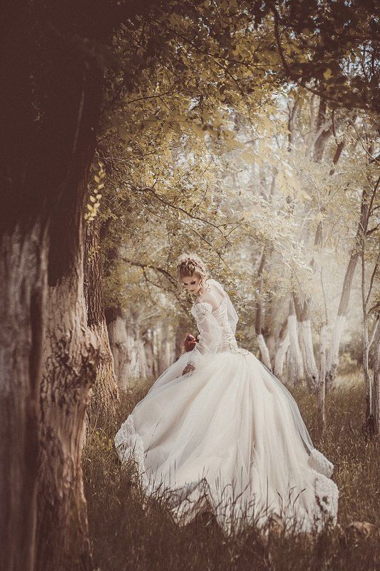 Патюляphoto preview