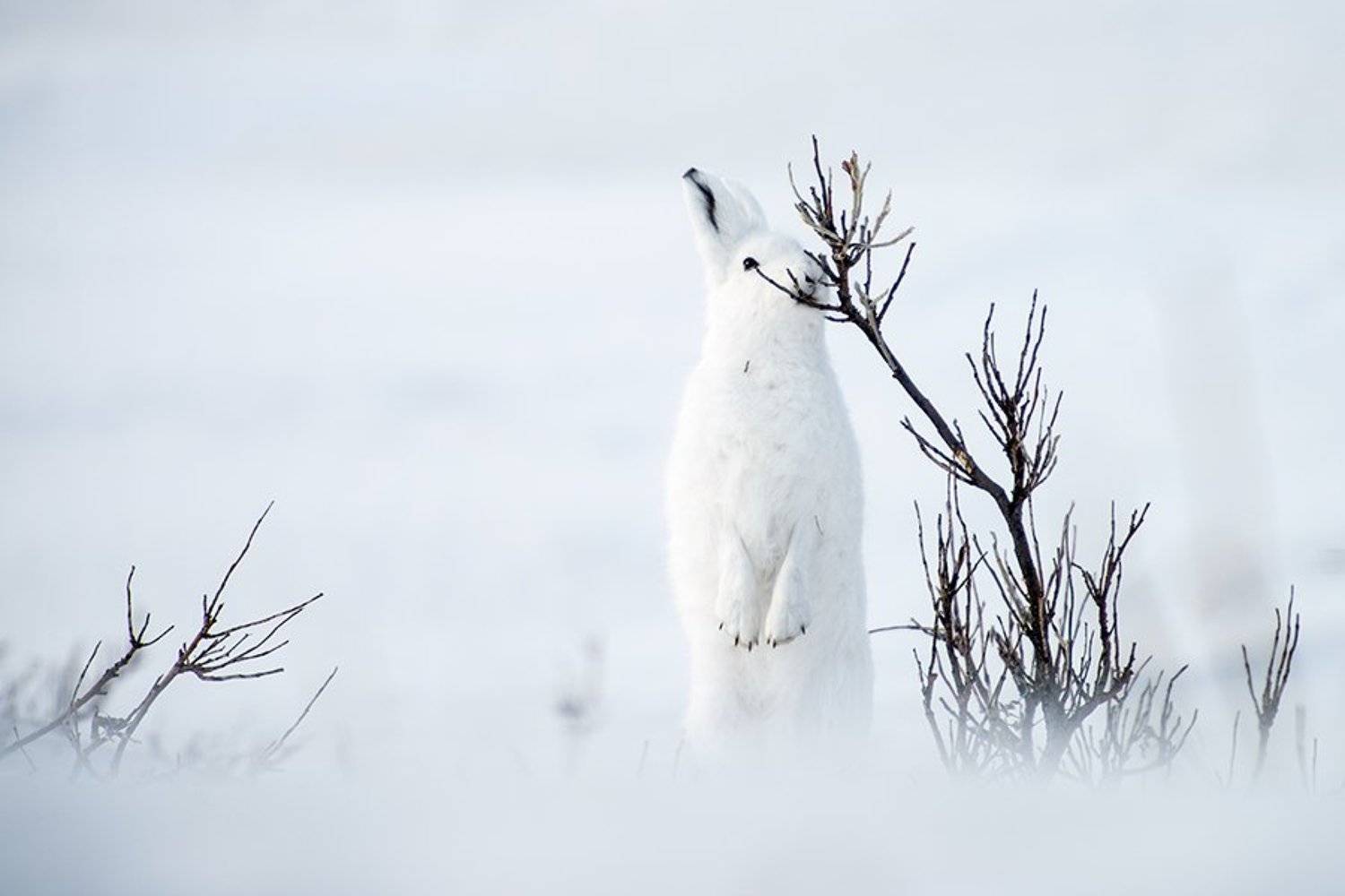 , Иван Кислов