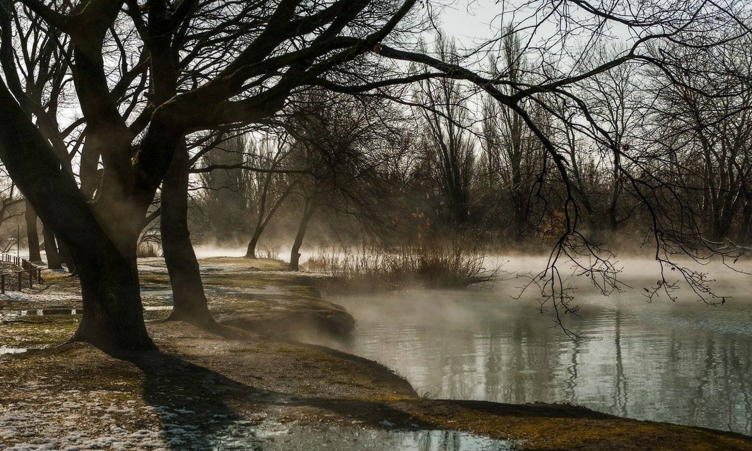 ВЕСНА ПРИШЛА. Автор: ФЁДОР , ФЁДОР