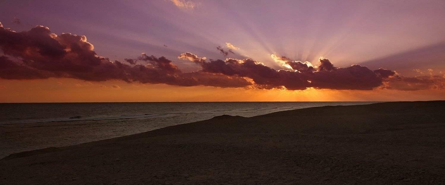 , Дмитрий Алексеев