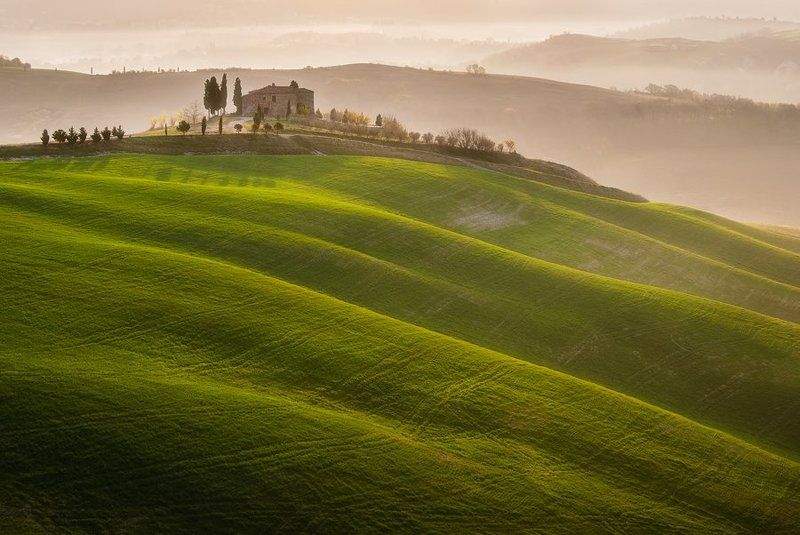 Cypress dreamsphoto preview