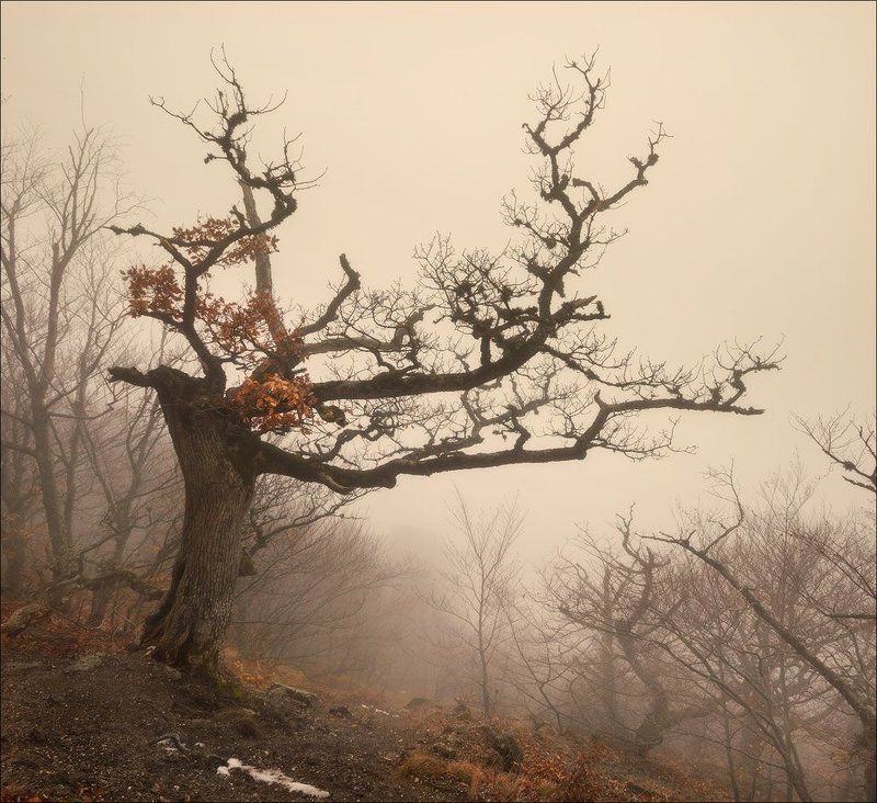 Князь Тишины...photo preview