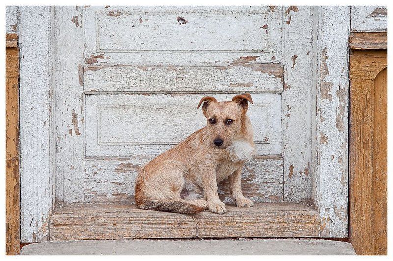 никто не дома ....photo preview