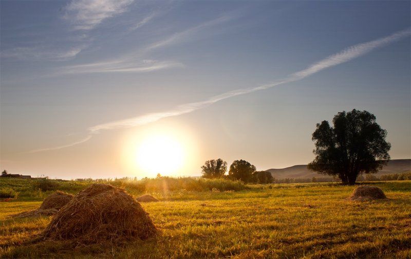 Вечереетphoto preview