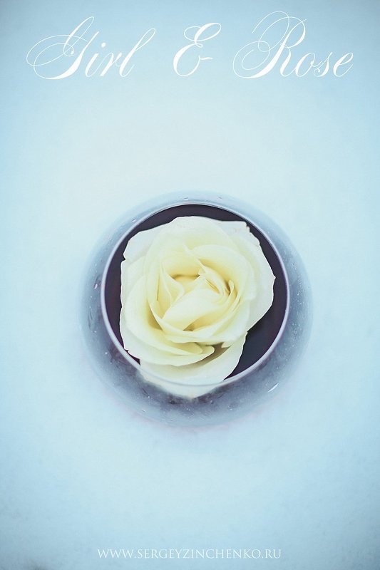 Girl & Rosephoto preview