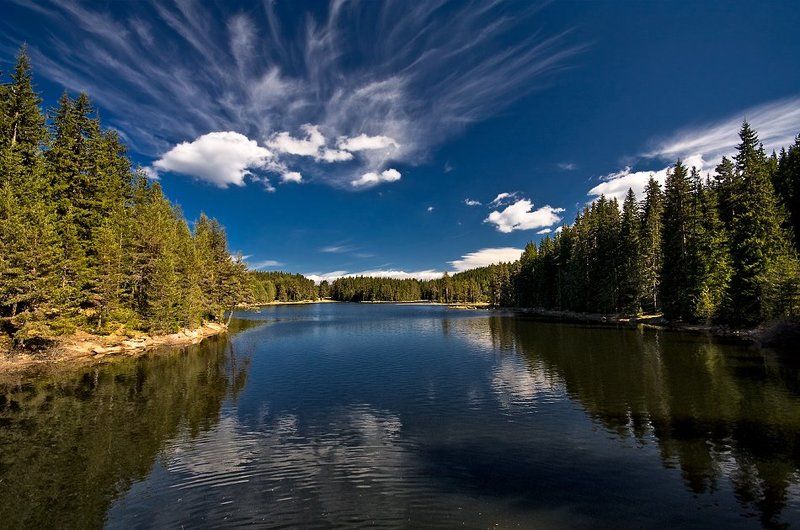 яз.Широка полянаphoto preview