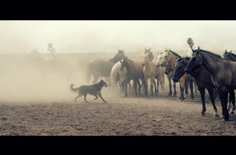 Gaucho,Argentinaphoto preview