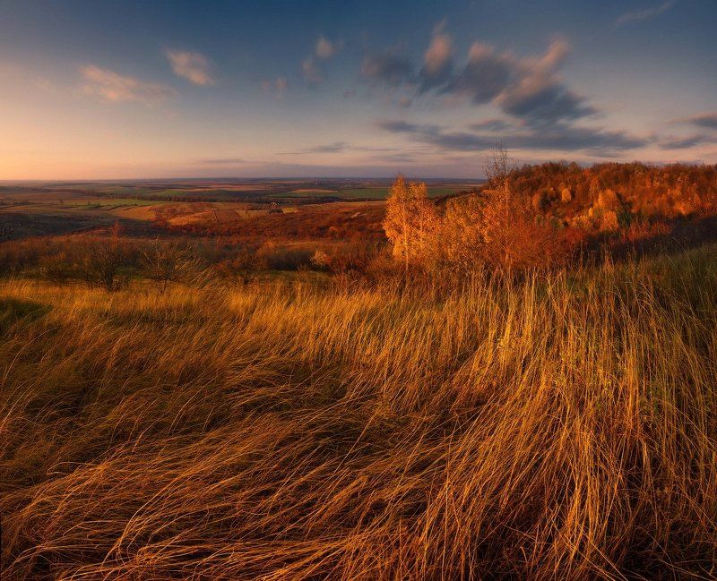 Ветерphoto preview