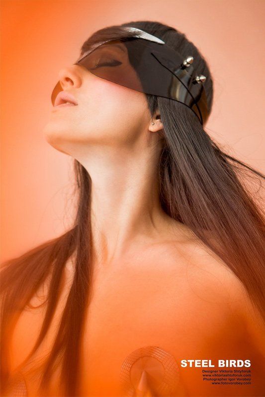 ibiza STEEL BIRDSphoto preview