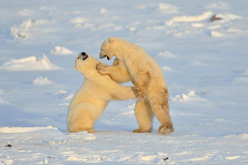 Ты кто такой?photo preview