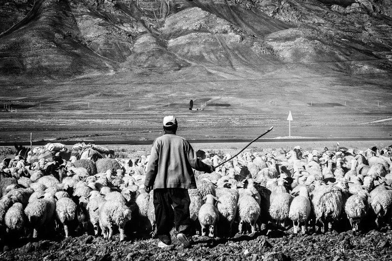 choppanphoto preview