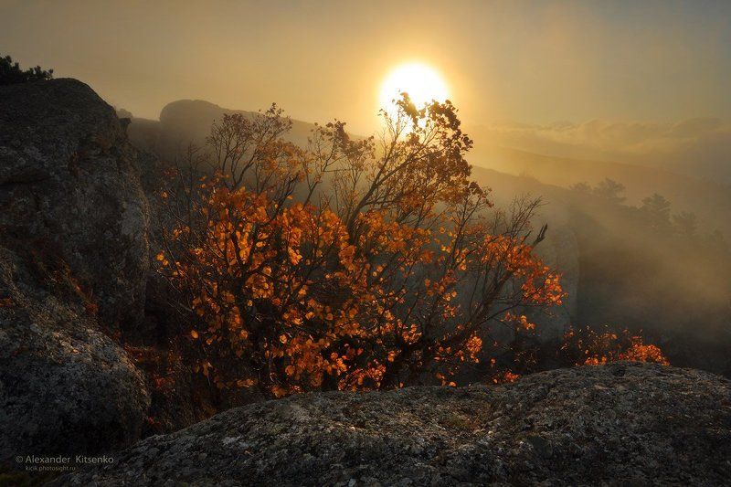 Место для любителей помечтать....photo preview