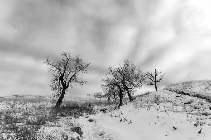 Шумел камыш....photo preview